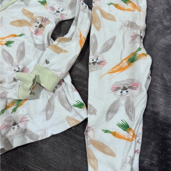 Burts Bee baby- Bunny Pajamas - 24M - Picture 3 of 5